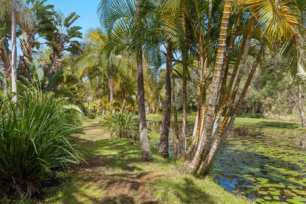 Treetops Lakeside Apartments Teluk Byron Bagian luar foto